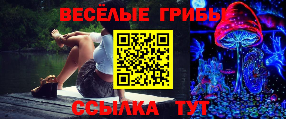 Галлюциногенные грибы мухоморы  Вход с VPN  Галлюциногенные грибы Magic Shrooms  Димитровград 